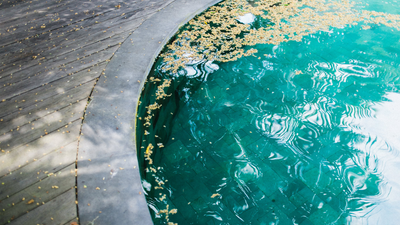 How to get pollen out of pool - 7 ways to ensure your water stays fresh and clean